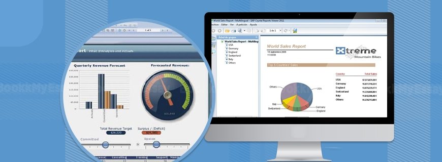 SAP Crystal Reports Assignment Help