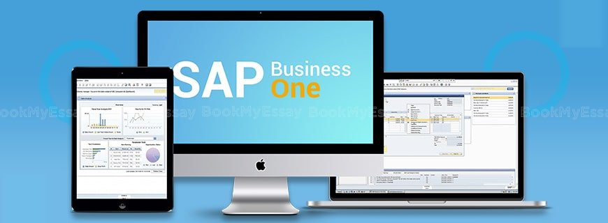 SAP Assignment Help