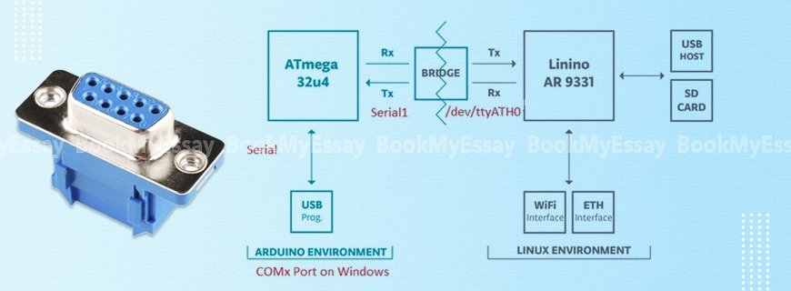 Serial Port Interfacing Assignment Help