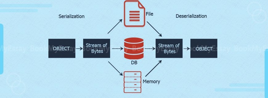Serialization Assignment Help