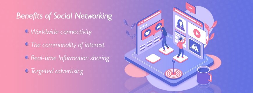 Social Networking Development Assignment Help