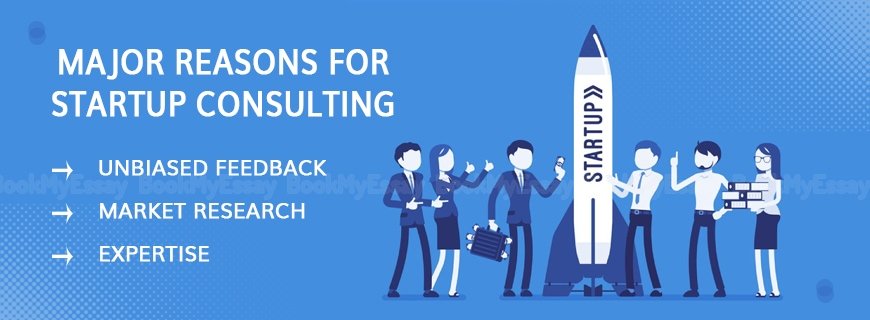 Startup Consulting Assignment Help