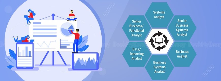 System Analysis Assignment Help