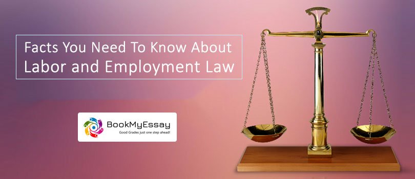 employment-law-assignment-help