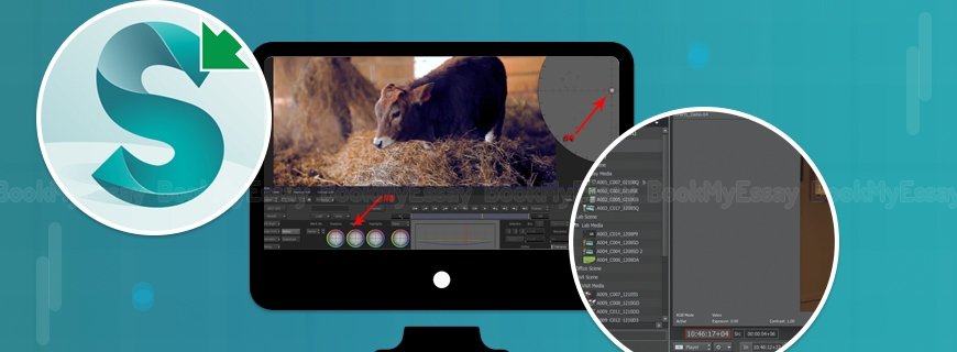 Smoke Assignment Help