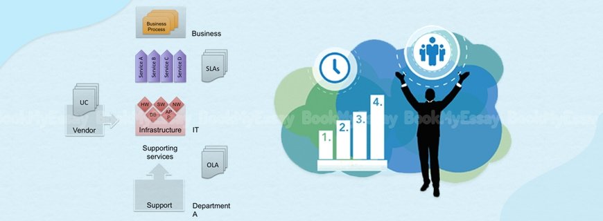 Service Level Management Assignment Help