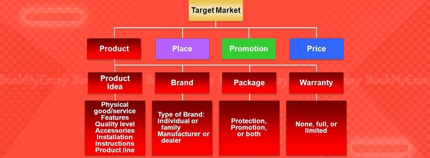 Services Continuum Assignment Help