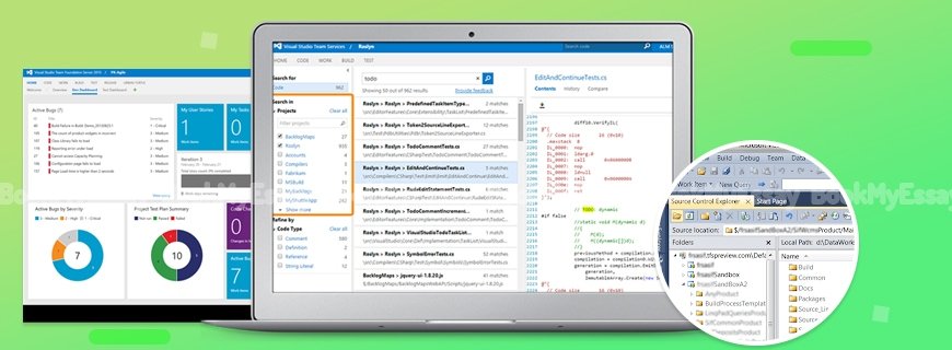 Team Foundation Server Assignment Help