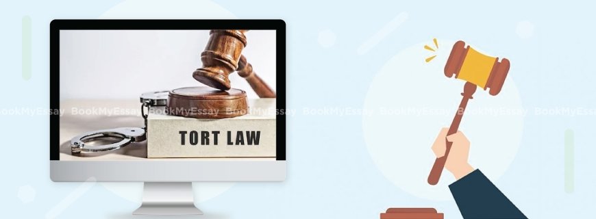 Tort Law Assignment Help
