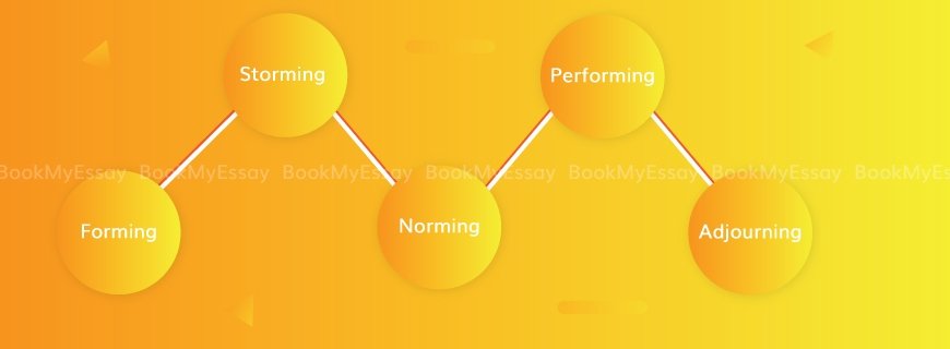 Tuckman Team Theory Assignment Help