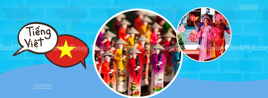 Vietnamese Assignment Help