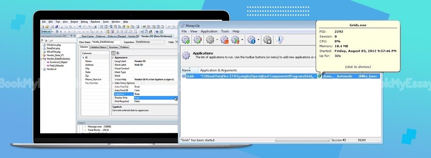 Visual Dataflex Assignment Help