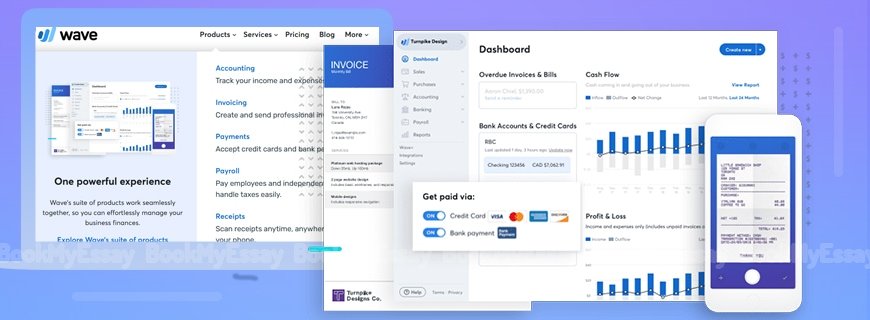 Wave Accounting Assignment Help