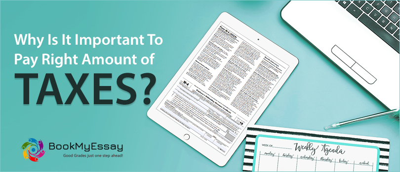 taxation-assignment-writing