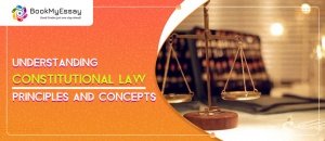 Constitution-Law-assignment-help