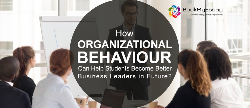 organizational-behavior-assignment-help
