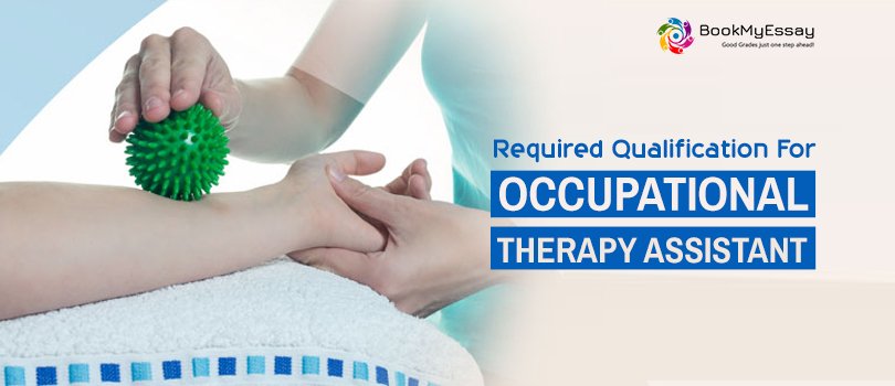 Occupational Therapy Assignment Help