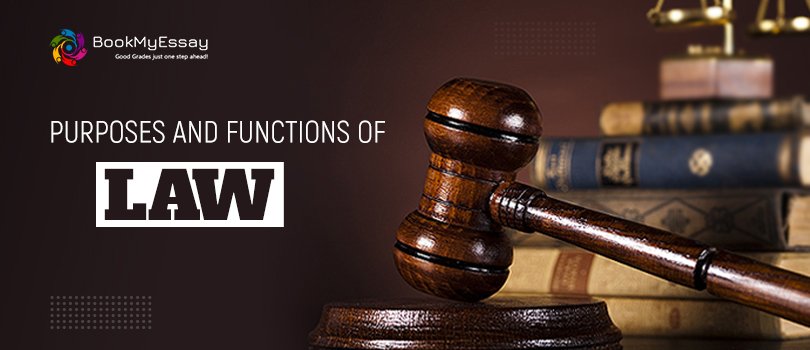 law assignment help
