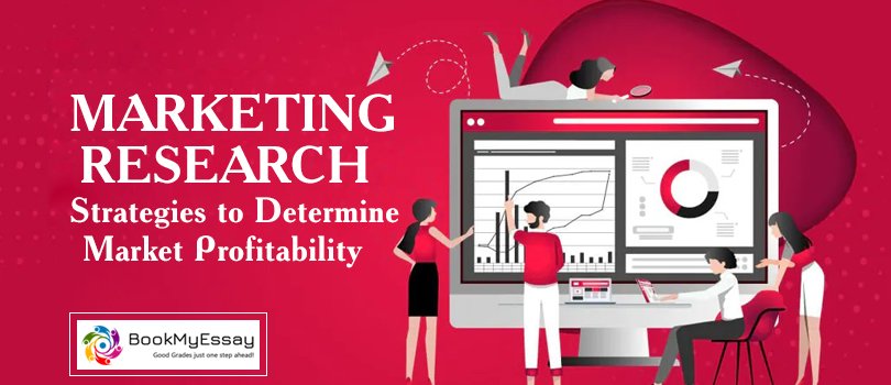 Marketing Research Strategies to Determine Market Profitability