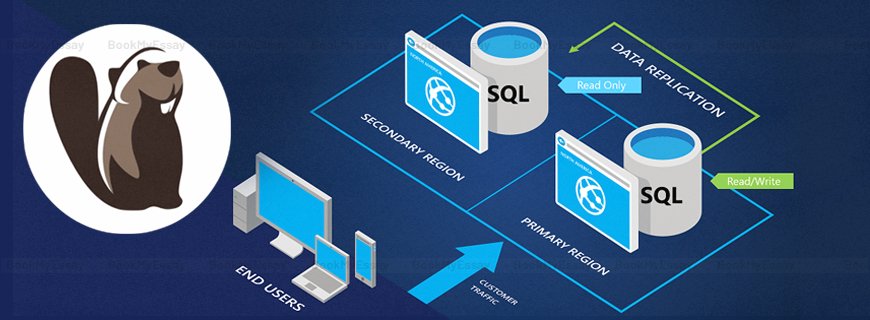 DBeaver Database SQL Assignment Help