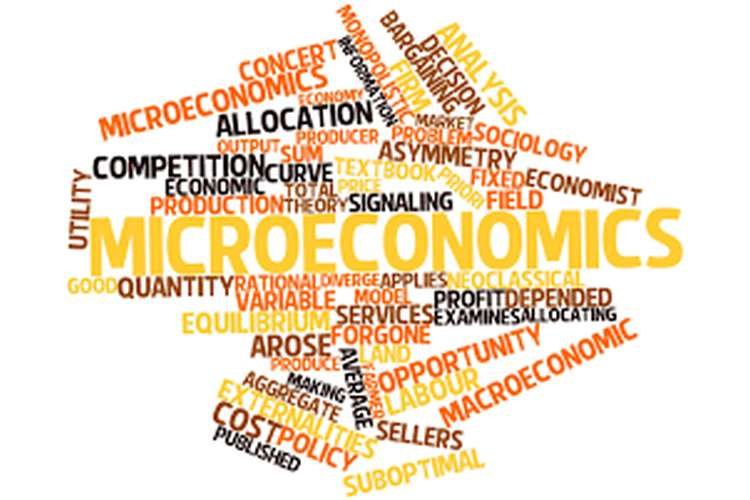 Overview about Microeconomics and Its Importance