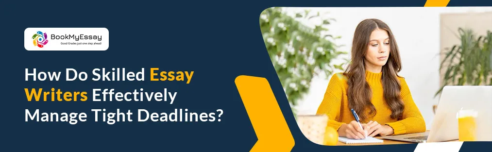 essay writers