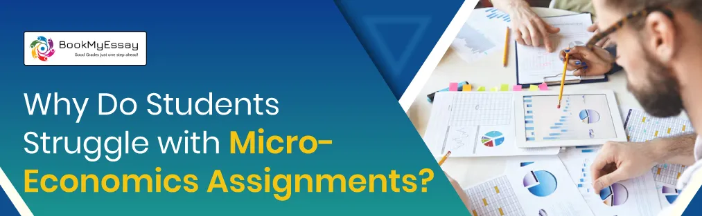 microeconomics assignments