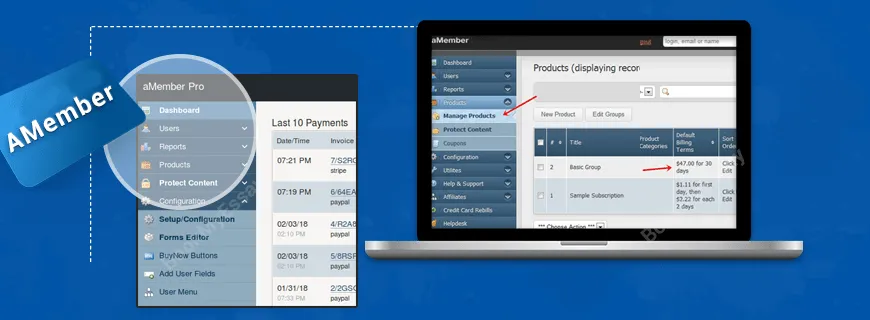 AMember Assignment Help