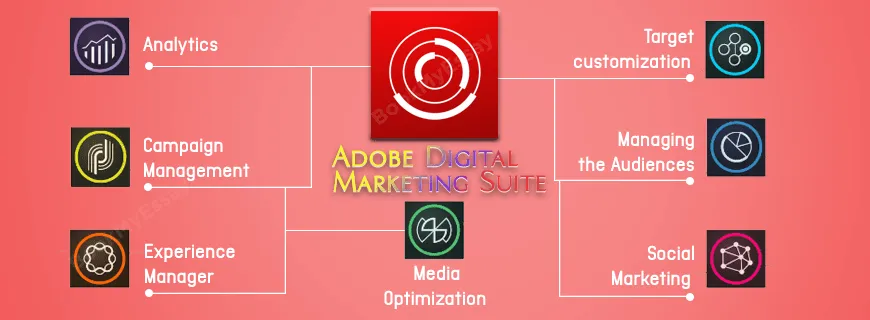 Adobe Digital Marketing Suite Assignment Help