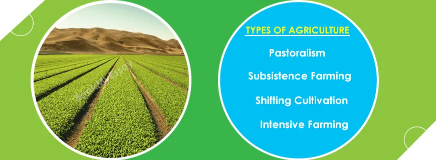 Agriculture Assignment Help