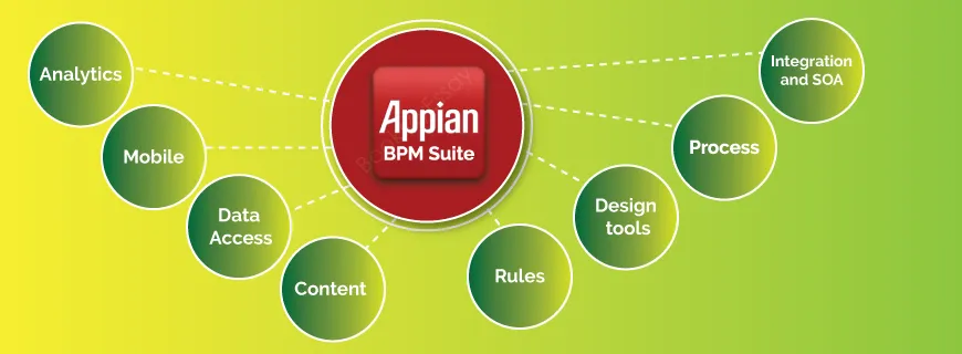 Appian BPM Suite Assignment Help