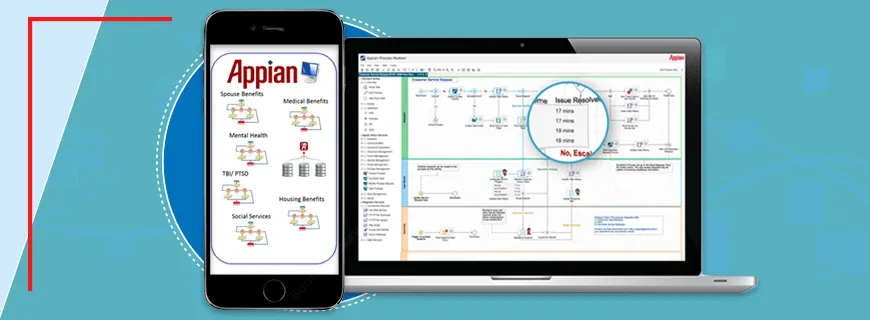 Appian Assignment Help
