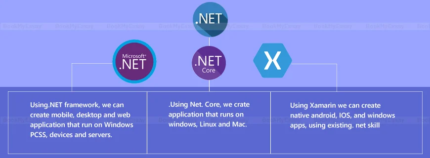 .Net Framework Assignment Help