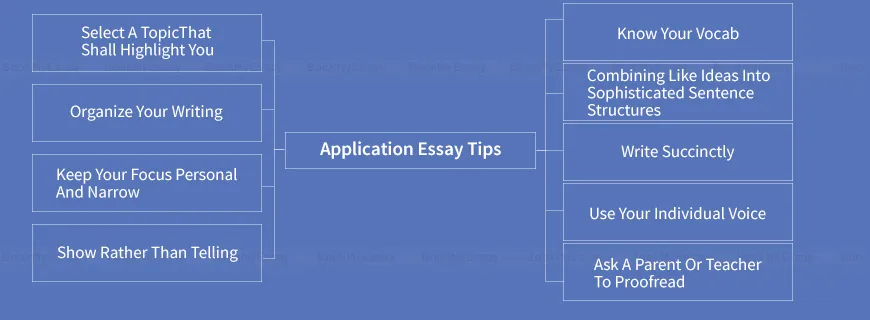 Application Essay Help
