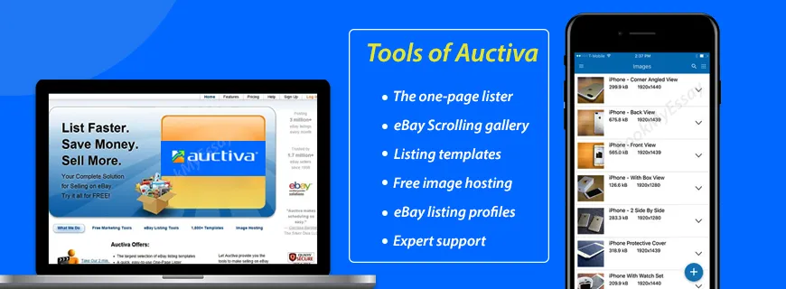 Auctiva Assignment Help