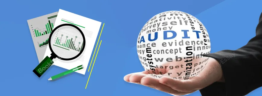 Audit Assurance Assignment Help