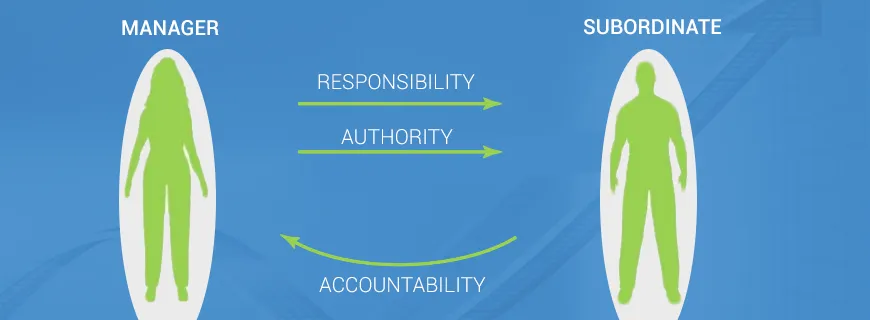 Authority and Responsibility Assignment Help