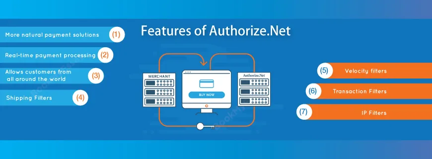 Authorize.Net Development Assignment Help