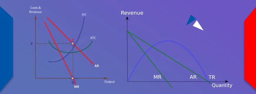 Average Revenue Concept Assignment Help