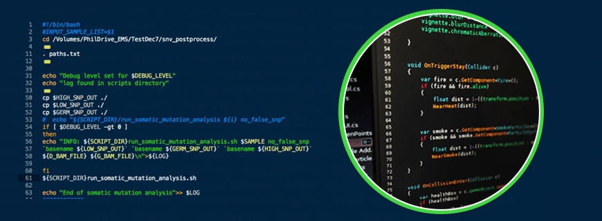 Bash Shell Scripting Assignment Help