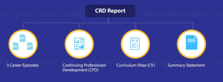 CDR Report Writing Help