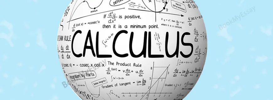 Calculus Assignment Help