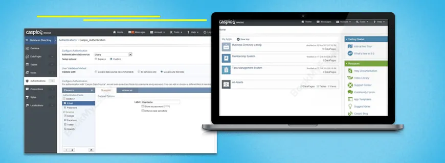 Caspio Administration Assignment Help