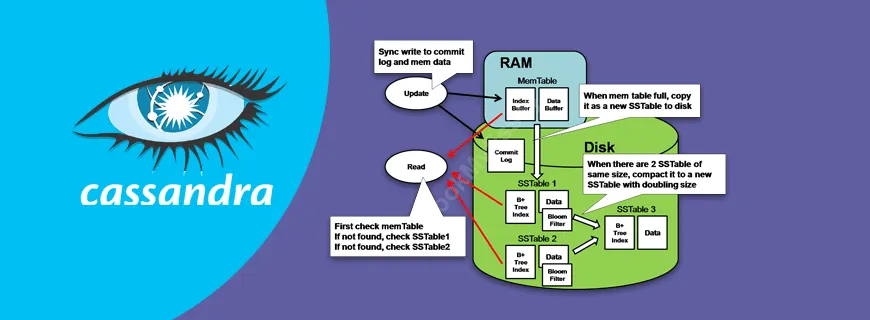 Cassandra Assignment Help