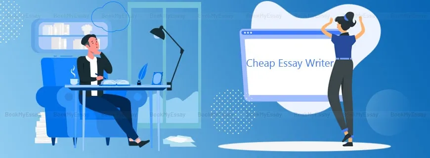 Cheap Essay Writer