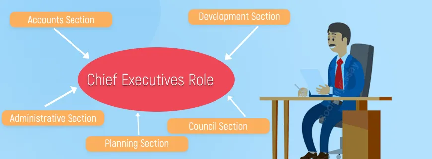 Chief Executive Role Assignment Help