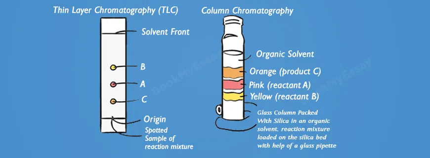 Chromatography Techniques Assignment Help