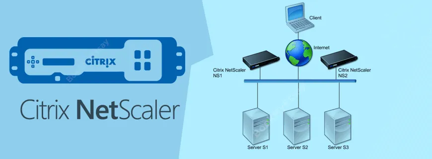 Citrix NetScaler Assignment Help