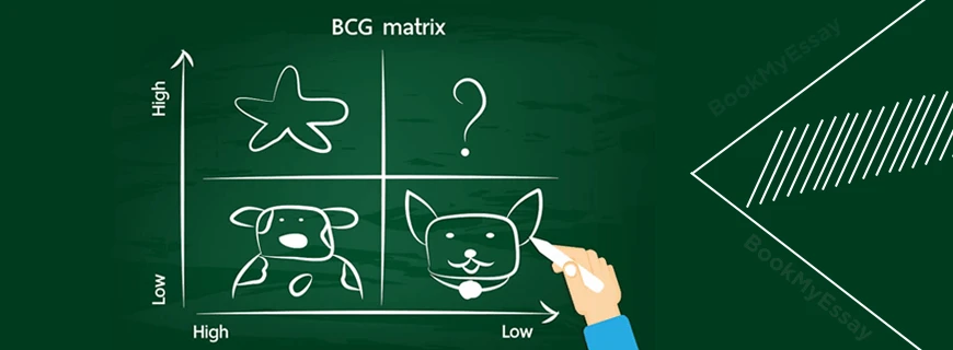 Boston Matrix Assignment Help