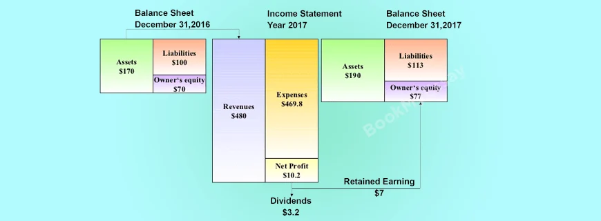 Balance Sheet and Income Statement Assignment Help